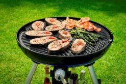 Cadac Carri Chef 50 BBQ Dome -Outdoor Haven Shop 8910 carri chef 2 bbq rooster 1 4